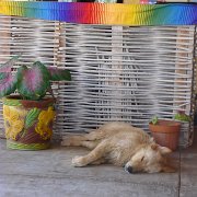 Baja2011 607 : Baja2011